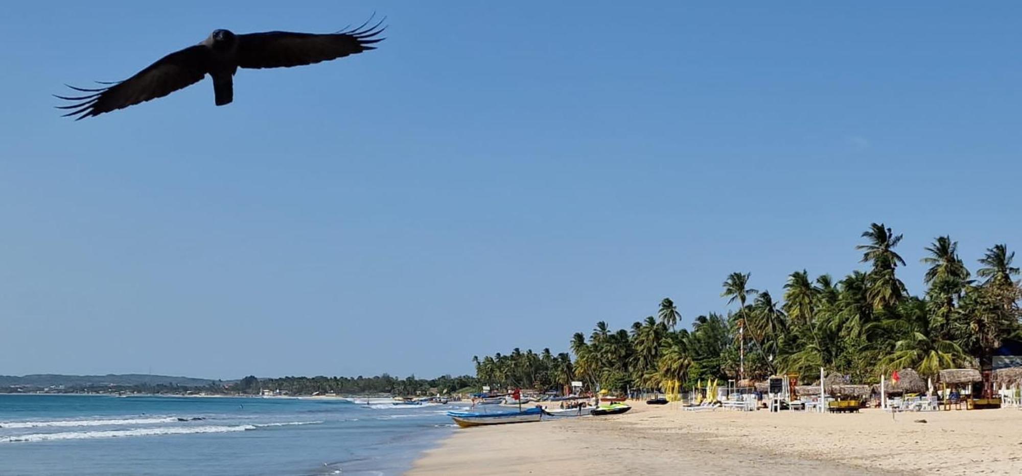 Lucky Beach Resort トリンコマリー エクステリア 写真